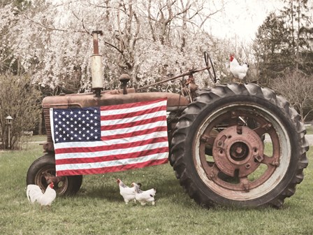 Country Pride by Lori Deiter art print