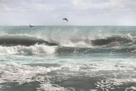 Sea Birds Among the Waves by Lori Deiter art print