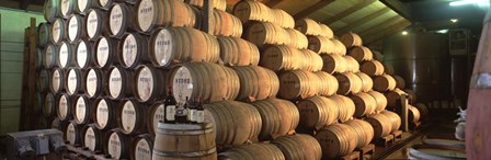 Napa Wine Country Stag&#39;s LeapWine Cellars Barrel Room by Panoramic Images art print