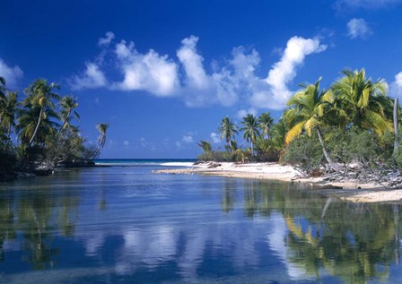 Cove Polynesia by Panoramic Images art print
