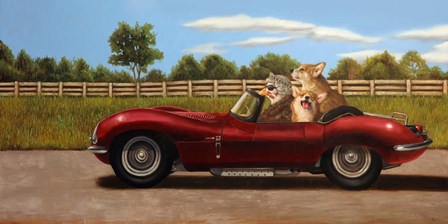 Country Drive by Lucia Heffernan art print