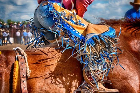 The Bronc Rider by Lisa Dearing art print