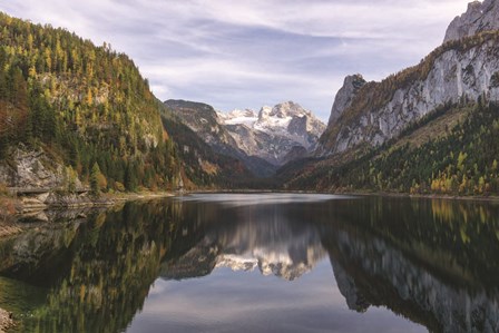 Nature&#39;s Beauty by Martin Podt art print