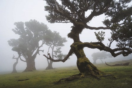 Forest Queen I by Martin Podt art print