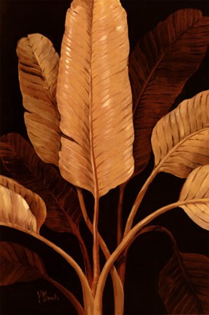 Traveller Palm by Paul Brent art print