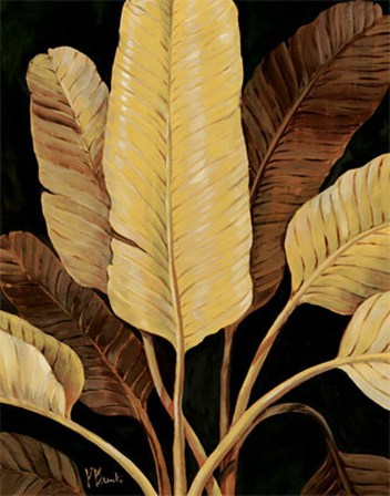 Traveller Palm by Paul Brent art print