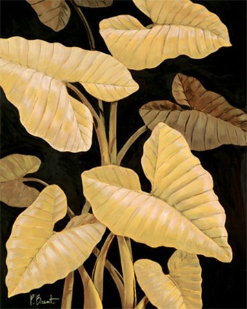 Tropical Leaves by Paul Brent art print