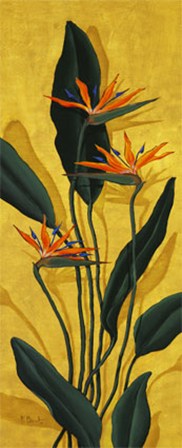 Bird of Paradise by Paul Brent art print