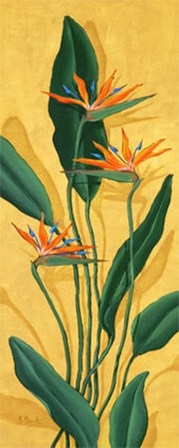 Bird of Paradise by Paul Brent art print