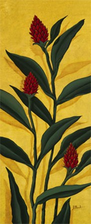 Red Ginger by Paul Brent art print