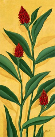 Red Ginger by Paul Brent art print