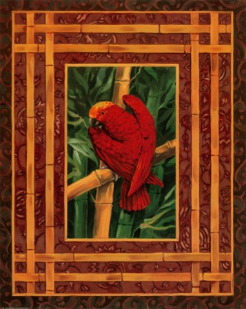 Crimson Parrot by Paul Brent art print