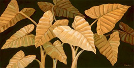 Calypso Leaves II by Paul Brent art print