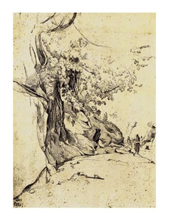 Sepia Tree Study by Jean-Baptiste Camille Corot art print