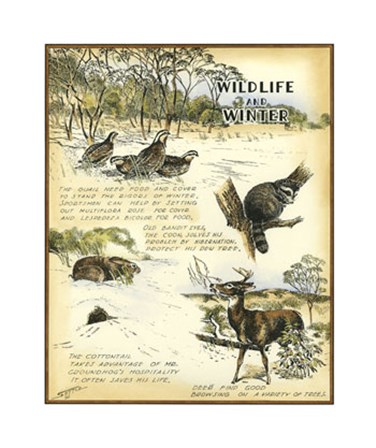 Wildlife by Robert Settle art print
