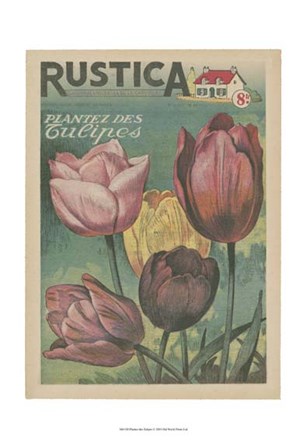 Plantez Des Tulips art print