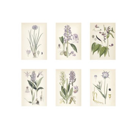 Purple Botanicals art print