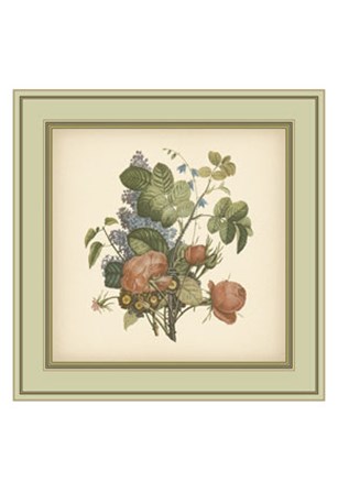 Tuscany Bouquet (P) III art print