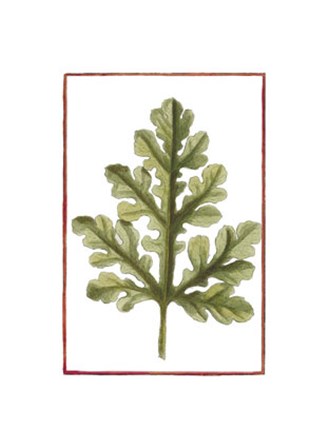 Vintage Leaf II by Vision Studio art print