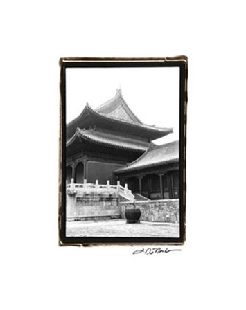 Palace Rooftops, Beijing by Laura Denardo art print