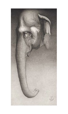 Toni, The Elephant by Frank Caldwell art print