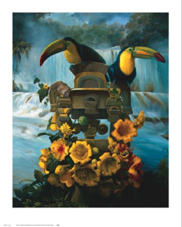 Cascadas de Aguazul by Gabriela Ezcurra art print