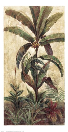 Exotic Palms II by Eduardo Moreau art print