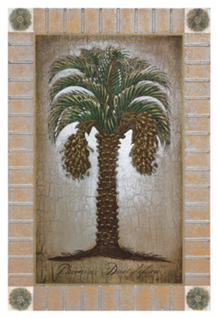 Phoenix Dactylifera by Sergio Bustamonte art print