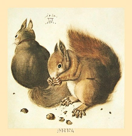 Squirrels by Albrecht Durer art print