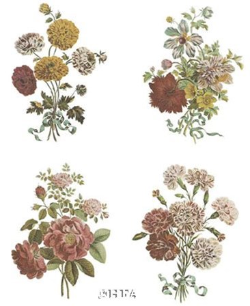 Florals (Set of Four) by Jean Louis Prevost art print