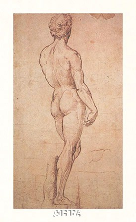 Nude Study by Raphael art print