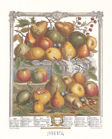 January/Twelve Months of Fruits, 1732 by Robert Furber art print