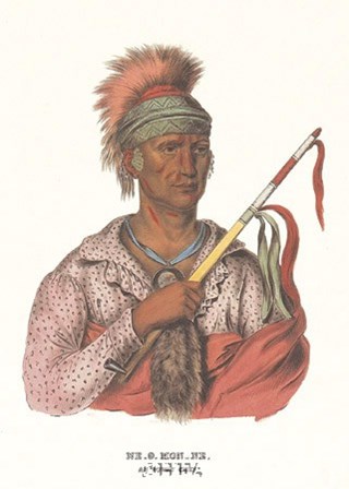 Ne-O-Mon-Ne, an Ioway Chief by Mckenny &amp; Hall art print