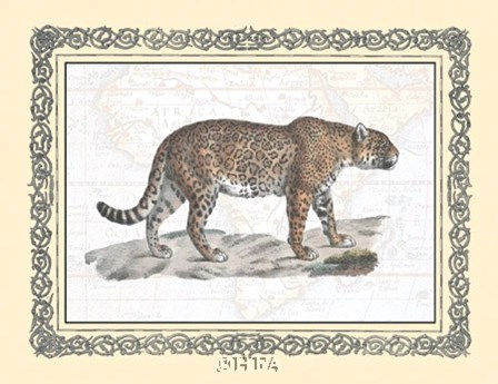 Jaguar art print