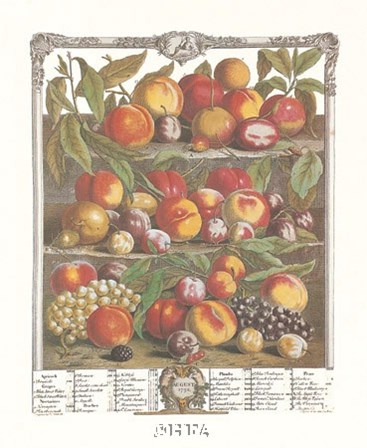 August/Twelve Months of Fruits, 1732 by Robert Furber art print