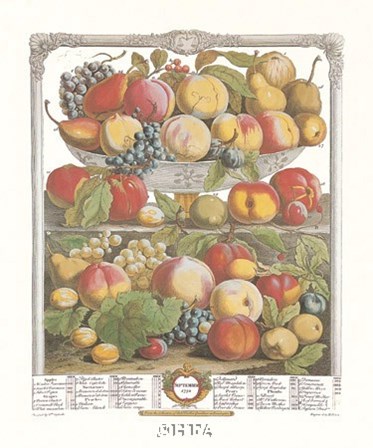 September/Twelve Months of Fruits, 1732 by Robert Furber art print