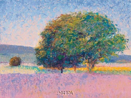 Trees in Provence by Gail Wells-hess art print