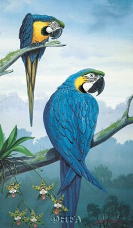 Blue and Gold Macaw by Jules Scheffer art print
