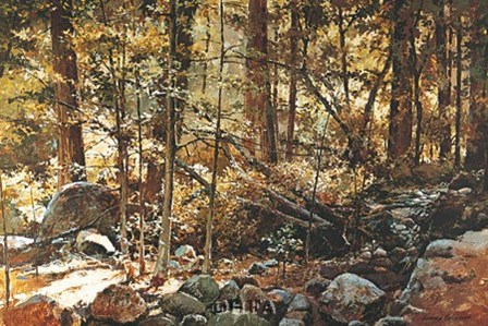 Sunlit Forest (Yosemite) by Jerome Grimmer art print