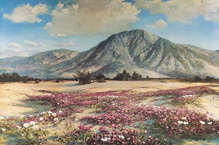 Desert in Spring by Robert Wood art print