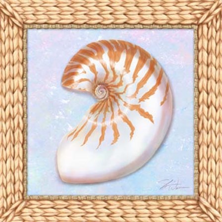 Seashell I by Shari Warren art print