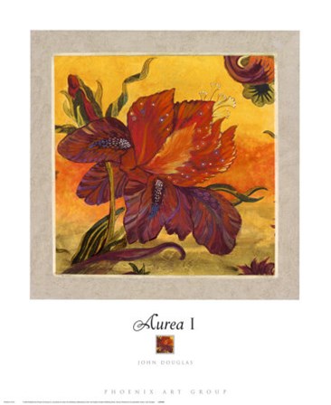 Aurea I by John Douglas art print