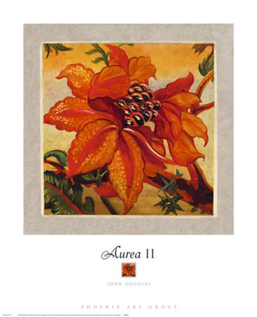 Aurea II by John Douglas art print
