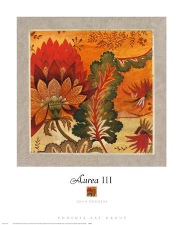 Aurea III by John Douglas art print