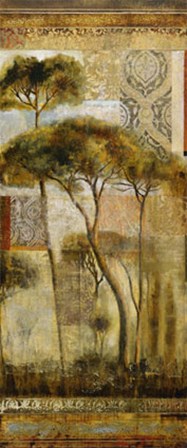 Italian Arbor II by John Douglas art print