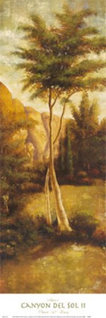 Canyon del Sol II by Williams art print