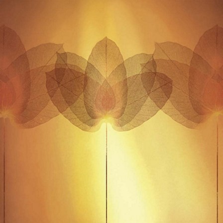 Transparence VI by Robin art print
