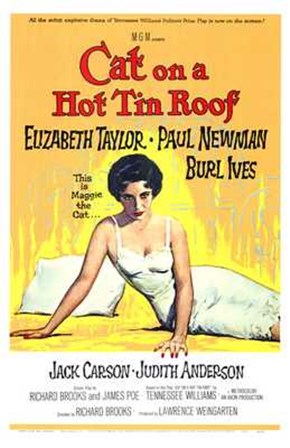 Cat on a Hot Tin Roof Elizabeth Taylor &amp; Paul Newman art print