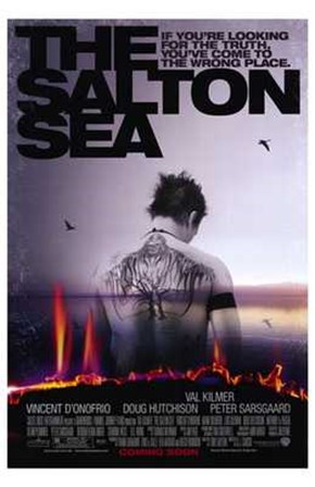 The Salton Sea art print