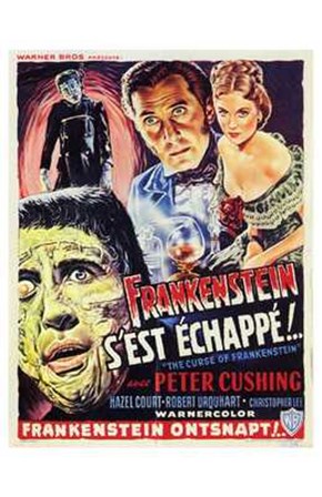 Curse of Frankenstein art print